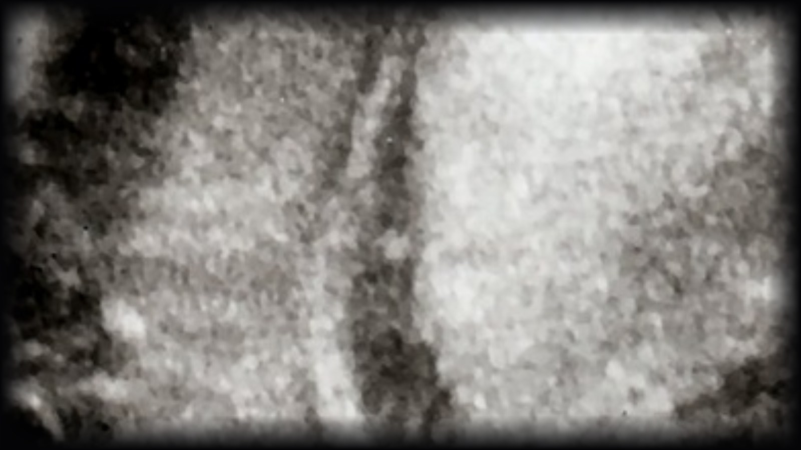 Illustration for the AI-designed bacteriophages story
