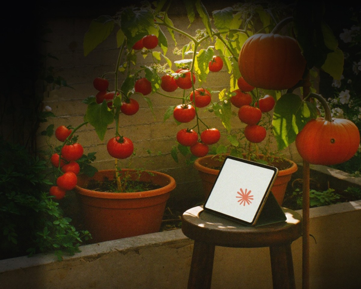 Illustration for the Claude garden story