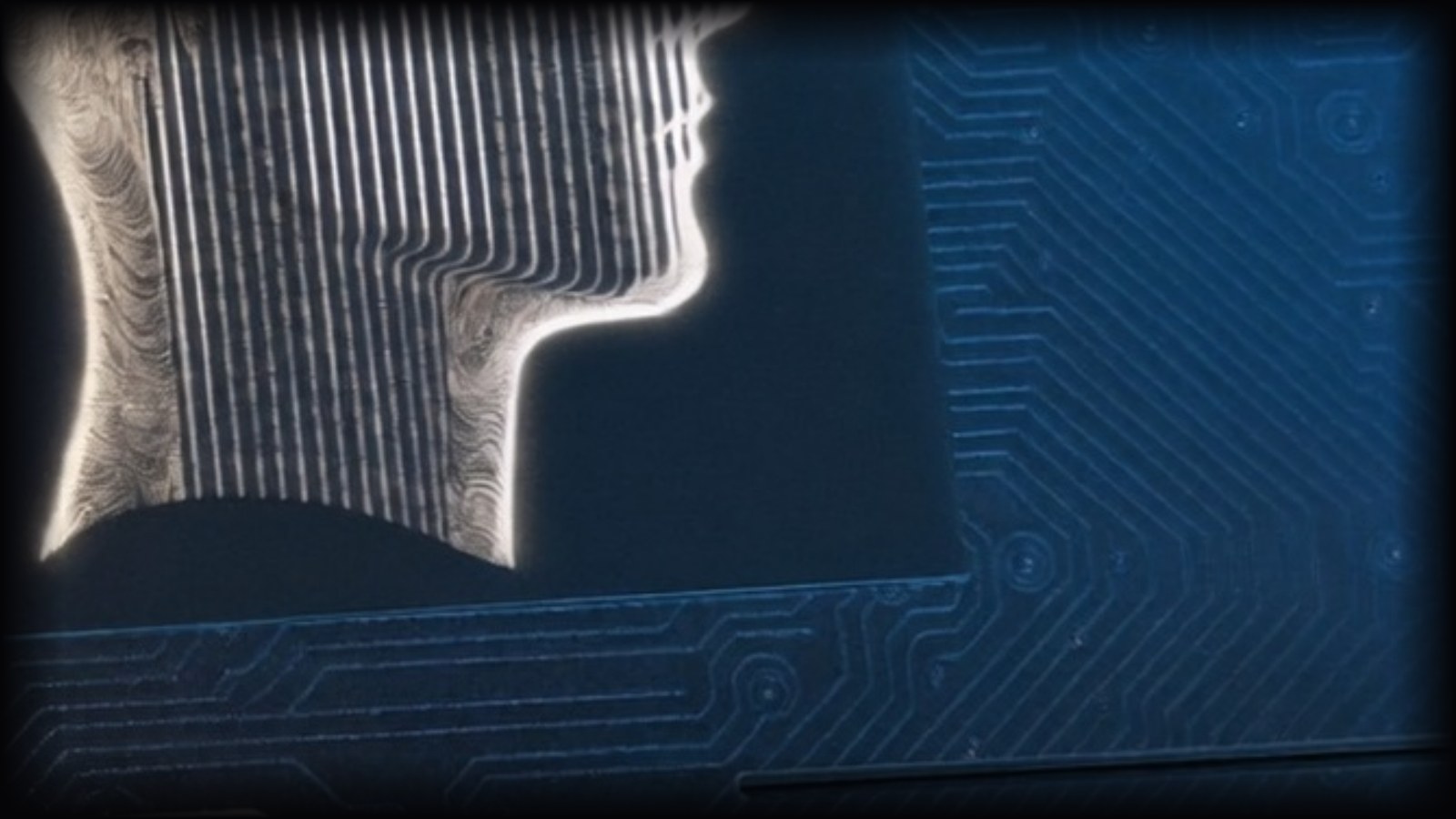 Illustration for the Estonia AI ID codes story